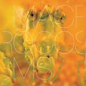 Macrocosms - CD