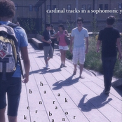 Cardinal Tracks In a Sophomoric Year