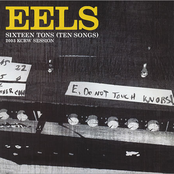 Sixteen Tons by Eels