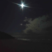 the five singles for jan 1st album