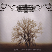 Falling Down Blue