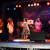 La notte della Taranta 2005 Live