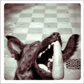 La canción de Teresa