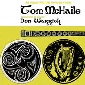 Pure Traditional Irish Tin Whistle