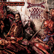 The Cracks Of Doom by Coffins