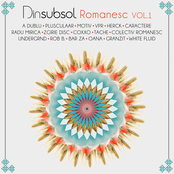 Dinsubsol Romanesc Volume 1