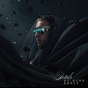 Petals of Dark Roses