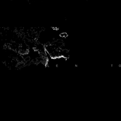 L  E      N                  T                          O