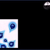 Late Music, Volume 1