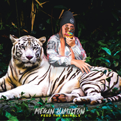 Megan Hamilton: Feed The Animals