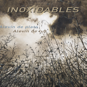 Alevín de Plata, Alevín de Luz