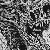 VKTM: THE LAST ONE STANDING