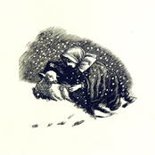 The Warmth of Distant Firelight