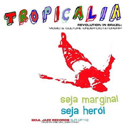 Tropicália: A Revolution In Brazilian Sound