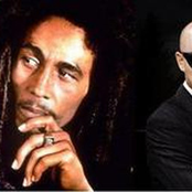 Bob Marley Vs. Funkstar De Lux