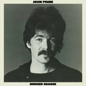 John Prine: Bruised Orange