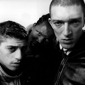 la haine