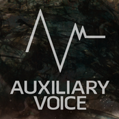 auxiliary voice