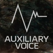 Auxiliary Voice