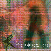 The Biblical Drop