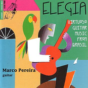 Elegia - Virtuoso Guitar Music From Brasil