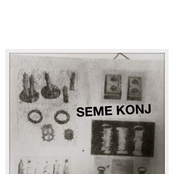 Seme Konj