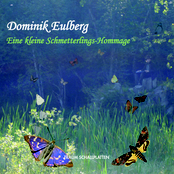Eine kleine Schmetterlings-Hommage