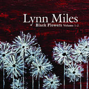 All I Ever Wanted by Lynn Miles