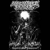 Tenebris Nox Immortuae