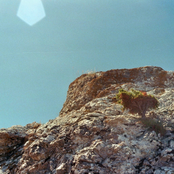 A Flickering Lamp, an Illusion, or a Dream