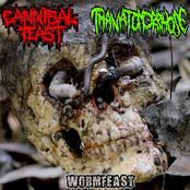 Wormfeast