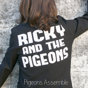 Pigeons Assemble