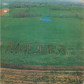 My Love Is Free by Madura