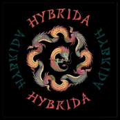 Hybrida