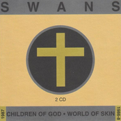 Turn To Stone by Swans