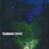 Heartspill by Deadwood Forest