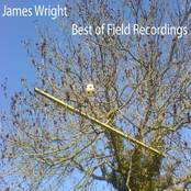 Best of Field Recordings