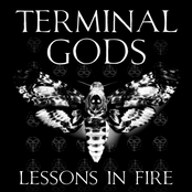 The Card Player by Terminal Gods