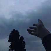 Gibran Alcocer: Idea 15