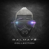 Darmata: Dalmata Collection