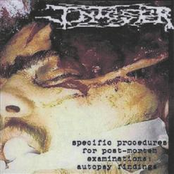 Specific Procedures For Post-Mortem Examinations: Autopsy Findings