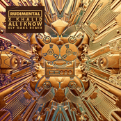 All I Know (Ely Oaks Remix) - Single