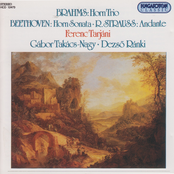 Brahms: Horn Trio, Op. 40 / Beethoven: Horn Sonata, Op. 17 / Strauss, R.: Andante