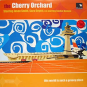 the world is such a groovy place