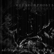 Metamorphosis of the Spirit