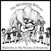 Song For Luna by The Whomping Willows