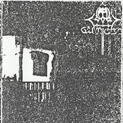 My Chim... Amoi Chim ...Always