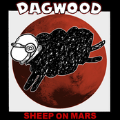 Sheep on Mars