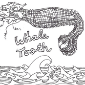 Whale Tooth EP