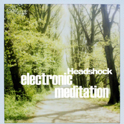 Electronic Meditation
